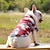 abordables Vêtements pour chiens-chemise de chien hawaii, chandail de citrouille européenne et américaine chandail de noël pour animaux de compagnie chandail de chat de diable chandail de chien en peluche costume d&#039;automne et
