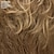 abordables perruque plus âgée-perruque pixie fraîche avec bonnet respirant et couches rasées / nuances multi-tons de blond argenté brun et rouge