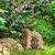 cheap Garden Sculptures&amp;Statues-Fairy Door for Trees, Fairy Door for GardenDecoration Door ，Miniature Tree Door， Miniature Door for Tree Decoration， Miniature Doors for Trees Outdoor