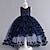 Χαμηλού Κόστους Φορέματα-Νήπιο Κοριτσίστικα Φόρεμα για πάρτυ Συμπαγές Χρώμα Αμάνικο Επίδοση Γάμου Δίχτυ Φερμουάρ χαριτωμένο στυλ Πριγκίπισσα Βαμβάκι Πολυεστέρας Ασύμμετρο Φόρεμα για πάρτυ Καλοκαίρι Άνοιξη Φθινόπωρο 7-13 ετών