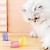 ieftine Jucării Pisică-pisicuță jucării pentru pisici lată durabilă jucărie cu arc pentru pisici arcuri colorate jucărie pentru animale de companie arcuri spiralate viața animalelor de companie