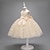 levne Párty šaty-Děti Dívčí Šaty na párty Motýl Bez rukávů Svatební Křtinové šaty Princeznovské Polyester Růžové šaty princezny Květinové dívčí šaty Léto 3-10 let Bílá Šampaňská Světlá růžová