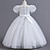 cheap Party Dresses-Kids Girls&#039; Party Dress Solid Color Flower Short Sleeve Performance Wedding Sequins Elegant Princess Polyester Maxi Pink Princess Dress Tulle Dress Summer Spring 4-13 Years Multicolor White Pink