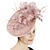 זול כובעים וקישוטי שיער-fascinators sinmay סתיו חתונה מסיבת תה קנטאקי דרבי מרוץ סוסים נשים יום חתונת אופנה וינטג&#039; עם כיסוי ראש נוצה