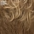 זול פאה מבוגרת-פאה ווספרלייט פאה מודרנית בסגנון חיתוך עם שוליים סוחפים ושכבות ללא רבב / גוונים רב-גווניים של חום כסוף בלונדיני ואדום
