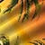 olcso férfi hajtókás hawaii ingek-Férfi Ing Hawaii ing Grafikai nyomatok Pálmafa Térfogatcsökkenés Rubin Medence Narancssárga Lóhere Szabadtéri Utca Rövid ujjú Nyomtatott Gomb lefelé Ruházat Tropikus Divat Hawaii Dizájn
