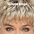 abordables perruque plus âgée-perruque de lutin chic avec une frange brisée et des couches ébouriffées / nuances multi-tons de brun argenté blond et rouge