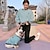 cheap Dog Clothes-The dog is better than the bear method to fight stripes embroidery round neck spring and autumn fur circle hoodie pet family hair