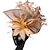 זול כובעים וקישוטי שיער-מפגשים סינאמי חתונה מסיבת תה קנטקי דרבי מירוץ סוסים יום הנשים וינטאג&#039; אופנתי עבודת יד עם נוצות כיסוי ראש כיסוי ראש