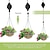 cheap Plant Care Accessories-Plant Hook Pulley, Retractable Plant Hanger Flower Basket Pots and Birds Feeder Hang High up and Pull Down to Water Or Feed