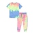 cheap Pajamas-Kids Girls&#039; Pajama Set Short Sleeve XTZ8390Y XTZ8390P XTZ8390B Color Block Crewneck Summer Spring Cool Home 3-7 Years