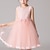 abordables Robes de fête-Enfants Fille Robe Couleur Pleine Fleur Sans Manches Soirée Casual Dentelle Multirang Le style mignon Doux Maille Dentelle Tulle Robe de princesse rose 3-12 ans Blanche Rose Claire Violet