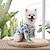 levne Oblečky pro psy-havajská košile pro psy, evropský a americký dýňový svetr vánoční svetr pro mazlíčky čert kočka pes svetr medvídkový pes podzimní a zimní kostýmdog halloween kostýmy
