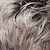 cheap Older Wigs-Short Bob Wig with Brow-Skimming Bangs and Angled Layers / Multi-Tonal Shades of Blonde Silver Brown  for Women Natural Hair Replacement Wigs