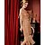 cheap Historical &amp; Vintage Costumes-The Great Gatsby Roaring 20s 1920s Cocktail Dress Vintage Dress Flapper Dress Women&#039;s Sequins Tassel Fringe Costume Vintage Cosplay Event / Party Sleeveless Dress Halloween