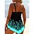 cheap Tankinis-Women&#039;s Swimwear Swimdresses Plus Size Swimsuit 2 Piece Printing Graphic Blue Rose Red Bathing Suits Sports Beach Wear Summer