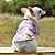 ieftine Îmbrăcăminte Câini-cămașă pentru câini hawaii, pulover cu dovleac european și american pulover pentru animale de companie de Crăciun pulover pentru câine pisică diavol costum câine de pluș costum de toamnă și iarnă
