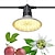 billiga LED Växtljus-led odlingslampa för inomhusväxter e27 15w 48led pärlor fullspektrumarmatur vit lila 220-240 v grönsaksväxthus