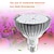 billiga LED Växtljus-led växande glödlampor e27 växtljus 220v fullspektrum fytolampor 100w 150w hydroponisk fitolampy 30w 50w 80w frölampa inomhus