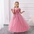 cheap Party Dresses-Kids Girls&#039; Dress Solid Colored Flower Sleeveless Party Sweet Maxi Summer Spring 4-13 Years Pink Red Blue
