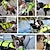 ieftine Îmbrăcăminte Câini-animale de companie furnizează vestă de salvare airbag nou câine pliabil gonflabil în aer liber costum de baie convenabil și sigur