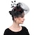 זול כובעים וקישוטי שיער-מפגשים פּוֹלִיאֶסטֶר חתונה מסיבת תה קנטקי דרבי מירוץ סוסים יום הנשים וינטאג&#039; Klassinen אלגנטית עם נוצות טול כיסוי ראש כיסוי ראש