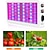 abordables Luces de cultivo para plantas-Luces led de cultivo espectro completo 30/50/80w 81-312 cuentas led fáciles de instalar para invernadero lámpara de cultivo hidropónico 85-265 v invernadero vegetal