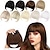 cheap Bangs-Blonde Bangs Clip in Bangs Blonde Clip in Thick Natural Full Front Neat Bangs Straight Fringe Bang with Temples One Piece Hairpiece