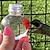 preiswerte Hinterhof Vogelbeobachtung &amp; Wildtiere-Kolibri-Futterspender für den Außenbereich, tragbar, gilt für alle Vögel, flaschenhängender Kolibri-Futterspender im Freien, auslaufsicher, leicht zu reinigen und zu befüllen, mit 3 Futteröffnungen