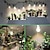 preiswerte LED Pflanzenzuchtlampe-LED Grow Glühbirnen A19 Glühbirne Vollspektrum für Zimmerpflanzen E26 Sockel 12W/15W Grow Glühbirne 100W Äquivalent Grow Light für Zimmerpflanzen Samen ab 2er Pack