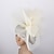 billige Fascinators-fascinators polyester Bryllup tefest Kentucky Derby Hesterace Ladies Day Enkel Årgang Elegant Med Fjer Medaljon Hovedbeklædning