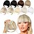 cheap Bangs-Blonde Bangs Clip in Bangs Blonde Clip in Thick Natural Full Front Neat Bangs Straight Fringe Bang with Temples One Piece Hairpiece