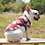 tanie Ubrania dla psów-Hawaje koszula dla psa, europejski i amerykański sweter z dyni boże narodzenie sweter dla zwierząt diabeł kot sweter dla psa miś kostium na jesień i zimępies kostiumy na halloween