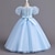 cheap Party Dresses-Kids Girls&#039; Party Dress Solid Color Short Sleeve Performance Wedding Elegant Princess Polyester Maxi Tulle Dress Summer Spring 4-13 Years White Pink Blue