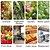 billige Skadedyrskontrol-sticky traps bolde, stueplante sticky bug fælder, der fanger frugtfluer, myg andre flyvende insekter, sødt bolddesign, klæbrig frugtfluefælder til indendørs/udendørs/marker og haver
