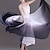 Недорогие Одежда для бальных танцев-Бальные танцы Балет Юбки Тюль Жен. Выступление Учебный Шифон
