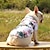 olcso Kutyaruházat-hawaii kutya ing, európai és amerikai sütőtök pulóver karácsonyi kisállat pulóver ördög macska kutya pulóver mackó kutya őszi és téli kosztümös kutya halloween jelmezek