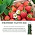 billige tilbehør til plantepleje-hængende jordbærdyrkningspose, jordbærdyrkningspose med 8 huller til jordbærtomat og peber på hovedet tomatdyrkningspose, grøntsagsdyrkningspose, haveartikler