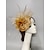 Χαμηλού Κόστους Fascinators-fascinators kentucky derby καπέλο καπέλα κεφαλής φτερά δίχτυ πέπλο καπέλο γάμου γυναικεία ημέρα κοκτέιλ βασιλικό astcot με πουπουλένιο καπάκι κεφαλή κεφαλής