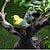 cheap Patio-4pcs/set Mini Bird And Bird Nest, Fairy Garden Accessories, Miniature Figures Fairy Garden Miniature Moss Landscape DIY Ornament Accessories, Miniature Landscape Decor, Car Decor, Home Decor