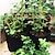 Χαμηλού Κόστους σακούλες καλλιέργειας φυτών-σακουλάκια φυτών στο σπίτι κήπος πατάτας γλάστρα θερμοκήπιο σακούλες καλλιέργειας λαχανικών ενυδατική jardin κάθετη τσάντα κήπου εργαλεία