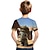 billiga pojkes 3d t-shirts-mode bokstavsmönster tryckt kortärmad t-shirt mode 3d-tryckta färgglada skjortor för pojkar och flickor
