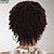 cheap Synthetic Wig-Natural Short Wig with Trendy Spiral Curls Bouncy Volume / Runway Shades of Black and Brown