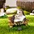 abordables sculptures et statues de jardin-Créatif et mignon petits animaux jardinage ornements lecture hérisson jardin aménagement paysager décoratif résine artisanat 1 pc