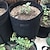 olcso növénytermesztő zsákok-növénytermesztő táskák házi kert burgonya cserép üvegház zöldségtermesztő zsákok hidratáló jardin függőleges kerti táska szerszámok