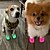 preiswerte Freizeitkleidung-herzförmiges Haustier Hund Loch Schuhe Silikon verschleißfeste atmungsaktive Hausschuhe Hundesandalen Haustier