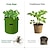 זול שקיות גידול צמחים-שקיות גידול צמחים ביתי גינה עציץ תפוחי אדמה חממה שקיות גידול ירקות לחות jardin כלי תיק גינה אנכי
