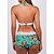 cheap Women&#039;s Swimwears-Women&#039;s Swimwear Bikini Normal Swimsuit 2 Piece Printing Polka Dot Floral Black Red Green Gray Bathing Suits Sports Beach Wear Summer