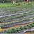 preiswerte Zubehör für die Pflanzenpflege-Kunststofffolie mit Pflanzlöchern, Barrierefolie zur Bekämpfung von Unkraut im Garten, Mulchen von atmungsaktiven Gartenbau-Landschaftsfolien zur Aufrechterhaltung der Feuchtigkeitstemperatur