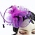 Χαμηλού Κόστους Fascinators-φτερό / δίχτυ fascinators καπέλο kentucky ντέρμπι / πέπλα κλουβί πουλιών με 1 τεμάχιο γάμου / πάρτι / βράδυ / γυναικεία κεφαλή